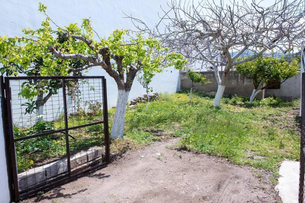 Palaikastro Holiday Apartment Sitia  Exterior photo